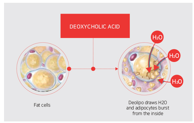 Deolipo